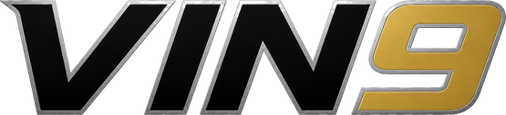 vin9 logo